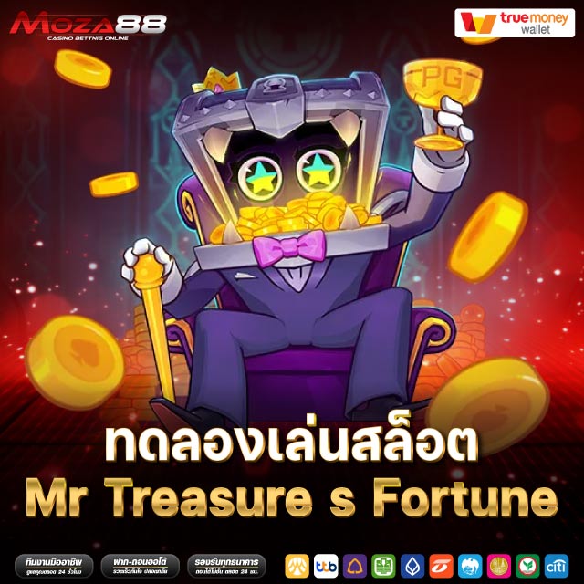Mr Treasure s Fortune